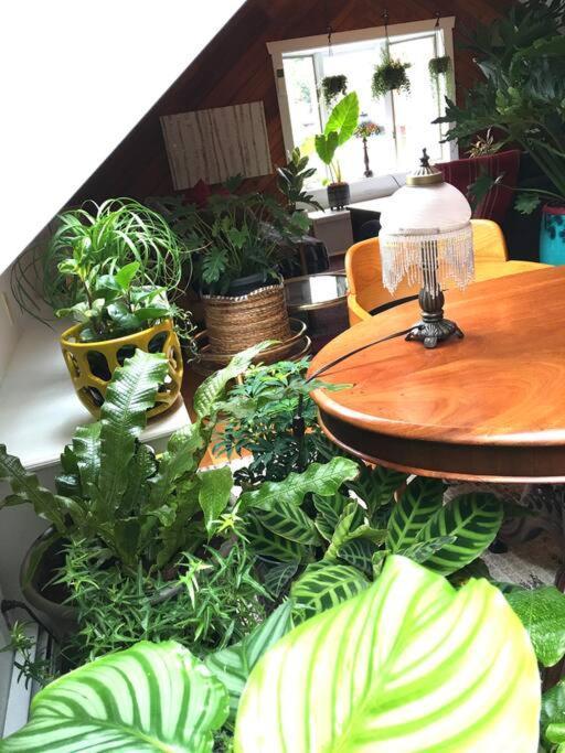 Urban Oasis In Hope Village Провидънс Екстериор снимка